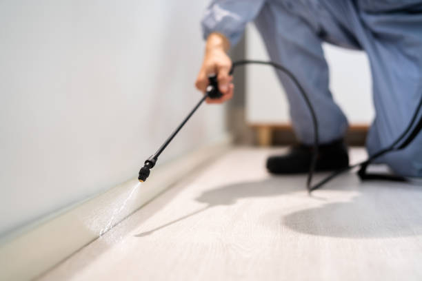Licensed Rodent Control service in Howell County County, MO - Nex Pest Control
